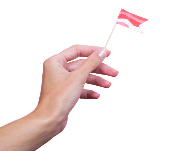 probleme-drapeau-mobile Vegan Bacon flag